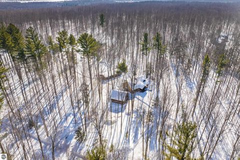Tiny photo for 1396 NE Westwood Road, Mancelona, MI 49659 (MLS # 1942488)