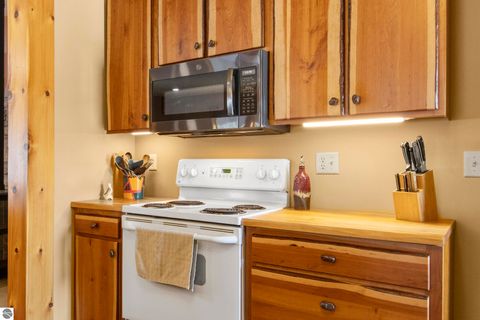 Tiny photo for 1396 NE Westwood Road, Mancelona, MI 49659 (MLS # 1942488)