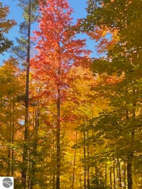 Tiny photo for 1396 NE Westwood Road, Mancelona, MI 49659 (MLS # 1942488)