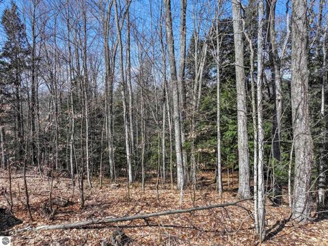 Tiny photo for 510 S Three Mile Road, Traverse City, MI 49696 (MLS # 1943806)