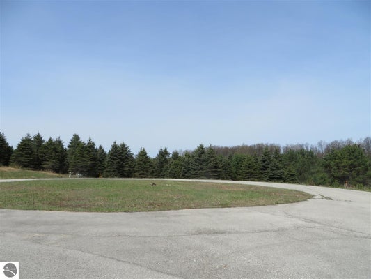 1 SPRUCE HOLLOW TRACE, FIFE LAKE, MI 49633 - Image f48aa3f4c33b924fff8e1c25035ebe18/2145045321
