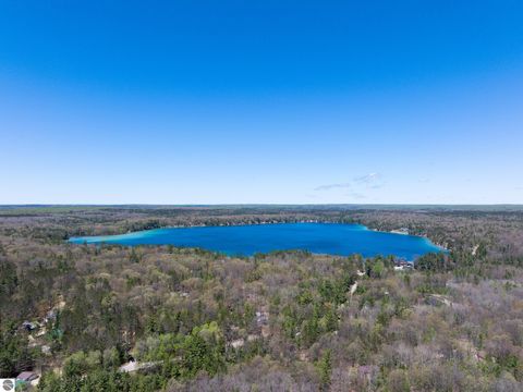 Tiny photo for 262 E Bear Lake Road NE RD, Kalkaska, MI 49646 (MLS # 1945558)