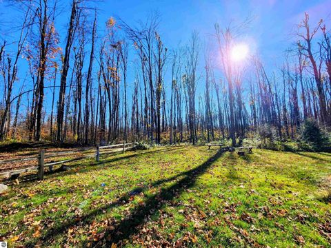 Tiny photo for 1376 Camp 10 Road, Elmira, MI 49730 (MLS # 1943500)