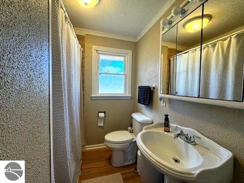 Tiny photo for 214 Grafton Avenue, Alma, MI 48801 (MLS # 1942458)