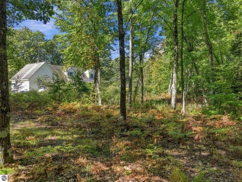 Tiny photo for 1858 N Kings Highway, Luther, MI 49656 (MLS # 1951110)