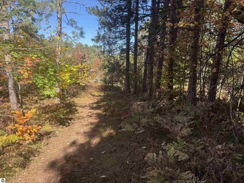 Tiny photo for 4273 N Dickerson Road, Manton, MI 49663 (MLS # 1941708)