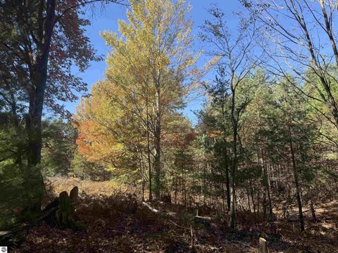 Tiny photo for 4273 N Dickerson Road, Manton, MI 49663 (MLS # 1941708)