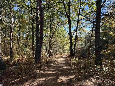 Tiny photo for 4273 N Dickerson Road, Manton, MI 49663 (MLS # 1941708)