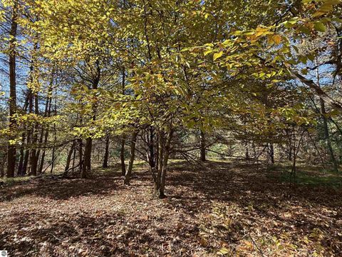 Tiny photo for 4273 N Dickerson Road, Manton, MI 49663 (MLS # 1941708)