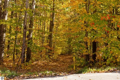 Tiny photo for 7149 W Blue Lake Road, Ne, Kalkaska, MI 49646 (MLS # 1943972)