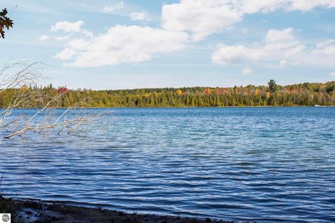 Tiny photo for 7149 W Blue Lake Road, Ne, Kalkaska, MI 49646 (MLS # 1943972)
