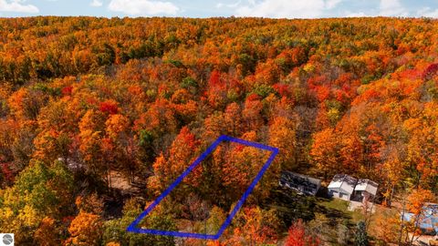 Tiny photo for 7149 W Blue Lake Road, Ne, Kalkaska, MI 49646 (MLS # 1943972)