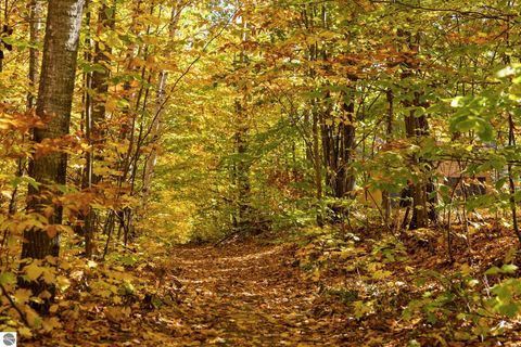 Tiny photo for 7149 W Blue Lake Road, Ne, Kalkaska, MI 49646 (MLS # 1943972)