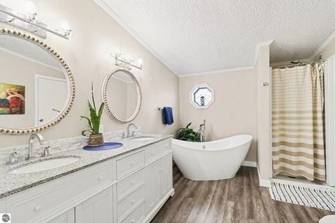 Tiny photo for 6939 170th Avenue, Stanwood, MI 49326 (MLS # 1943388)