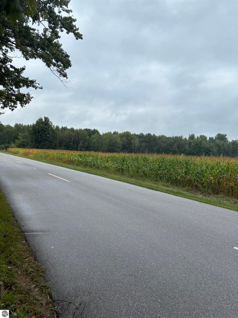 Tiny photo for 4589 Geneva Road, Coleman, MI 48618 (MLS # 1950010)