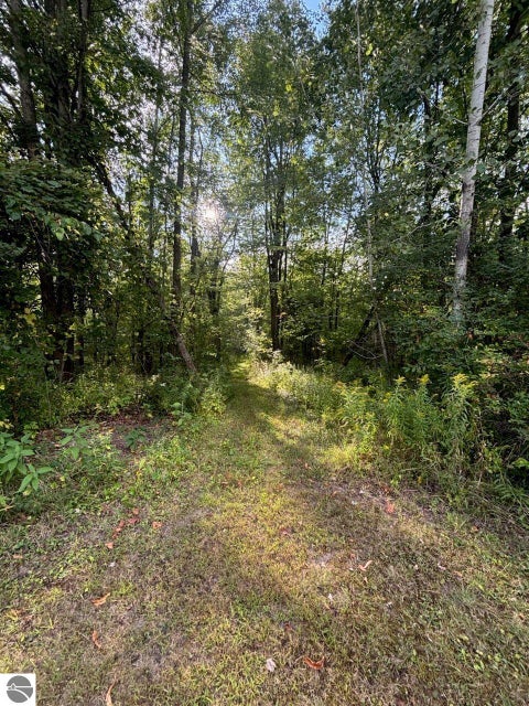 Tiny photo for 4589 Geneva Road, Coleman, MI 48618 (MLS # 1950010)