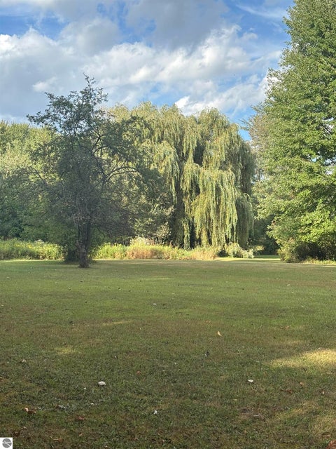 Tiny photo for 4589 Geneva Road, Coleman, MI 48618 (MLS # 1950010)