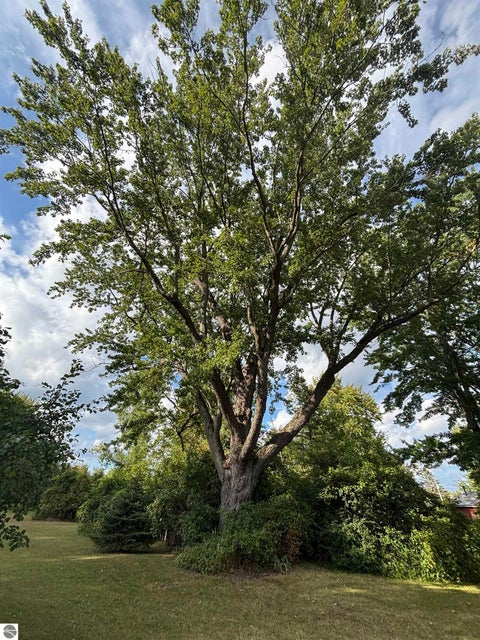 Tiny photo for 4589 Geneva Road, Coleman, MI 48618 (MLS # 1950010)