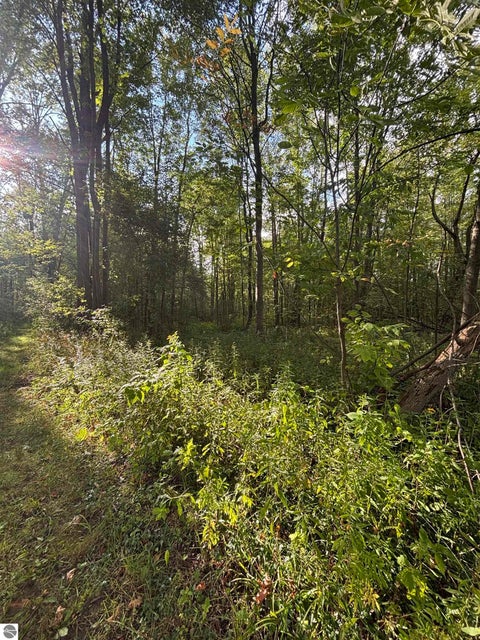 Tiny photo for 4589 Geneva Road, Coleman, MI 48618 (MLS # 1950010)