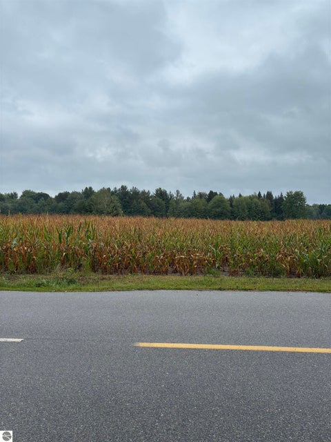 Tiny photo for 4589 Geneva Road, Coleman, MI 48618 (MLS # 1950010)