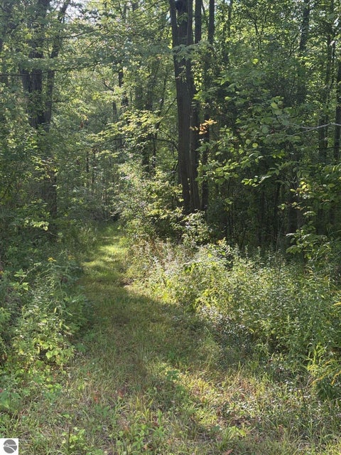 Tiny photo for 4589 Geneva Road, Coleman, MI 48618 (MLS # 1950010)