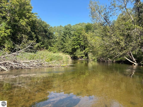 Tiny photo for 18821 Moore Road, Thompsonville, MI 49683 (MLS # 1950018)