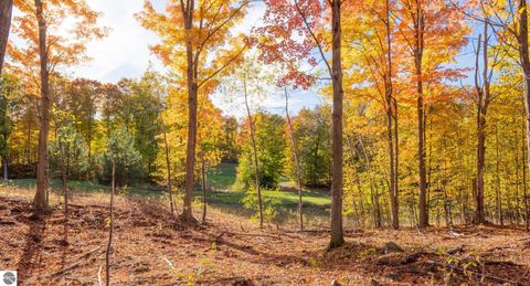 Tiny photo for 4972 Hawks Spur, Bellaire, MI 49615 (MLS # 1942686)