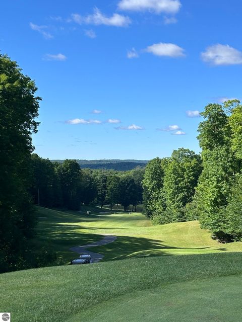 Tiny photo for 4972 Hawks Spur, Bellaire, MI 49615 (MLS # 1942686)