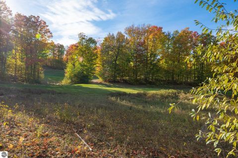 Tiny photo for 4972 Hawks Spur, Bellaire, MI 49615 (MLS # 1942686)