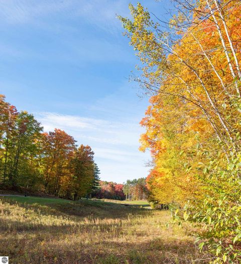 Tiny photo for 4972 Hawks Spur, Bellaire, MI 49615 (MLS # 1942686)