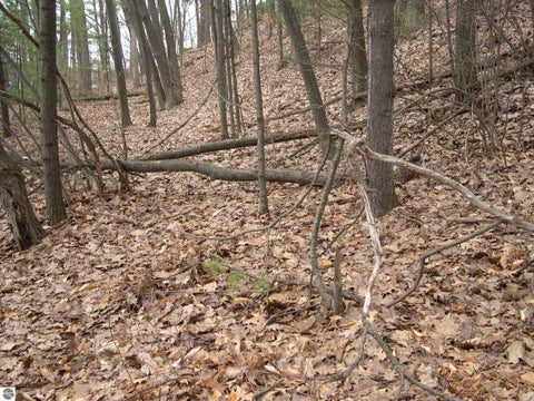 Tiny photo for 1597 Edgewater Ridge, Traverse City, MI 49684 (MLS # 1948278)
