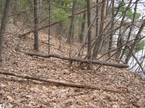 Tiny photo for 1597 Edgewater Ridge, Traverse City, MI 49684 (MLS # 1948278)