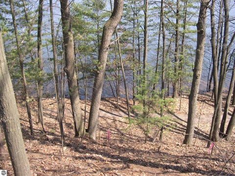 Photo of 1597 Edgewater Ridge, Traverse City, MI 49684 (MLS # 1948278)