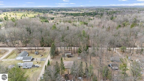 Tiny photo for 6992 Larry Street, Hale, MI 48739 (MLS # 1943945)