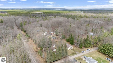 Tiny photo for 6992 Larry Street, Hale, MI 48739 (MLS # 1943945)