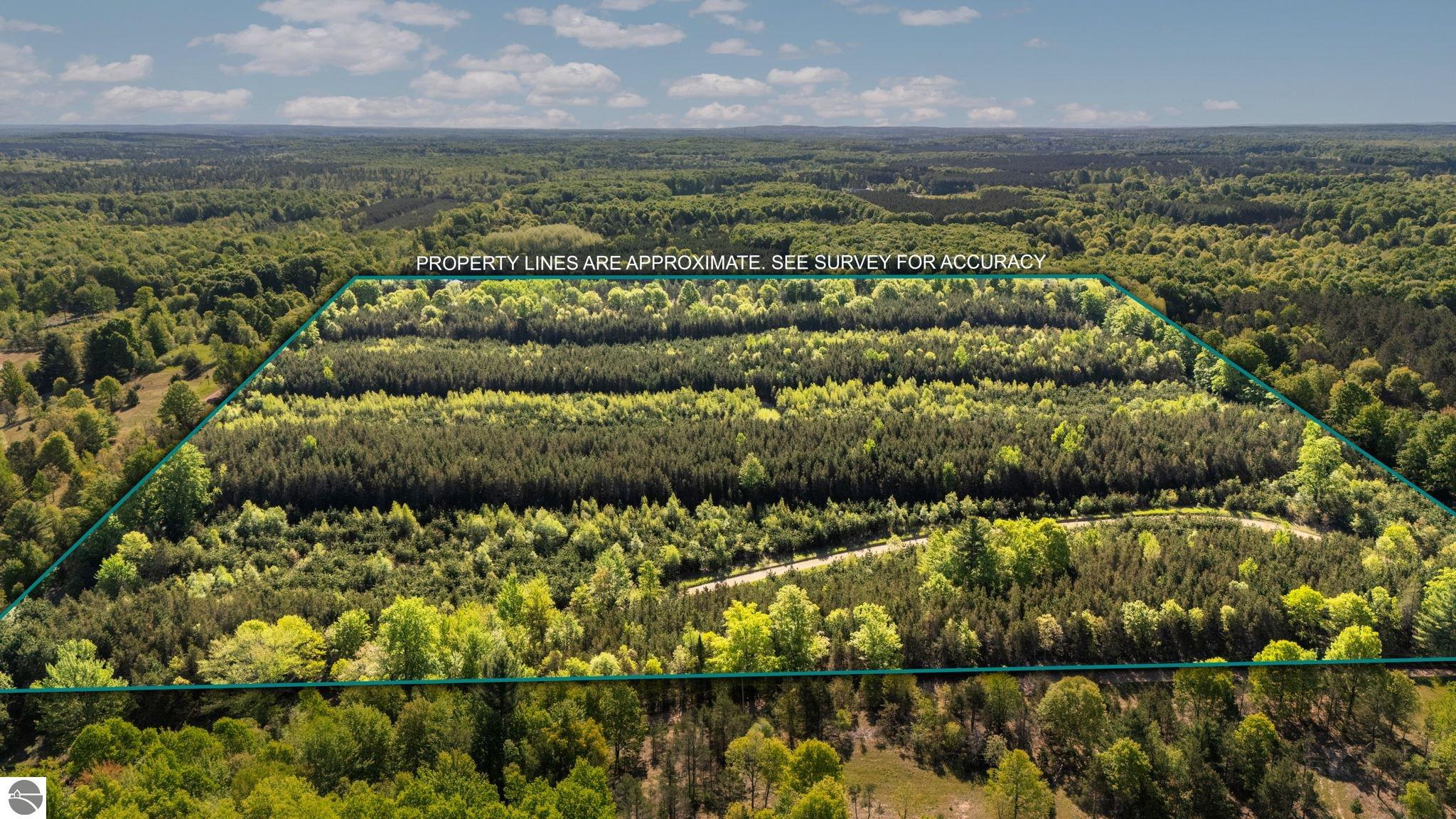 Photo 1 of 14 — Lot D 8.31 ACRE Lake, Fife Lake, MI 49633