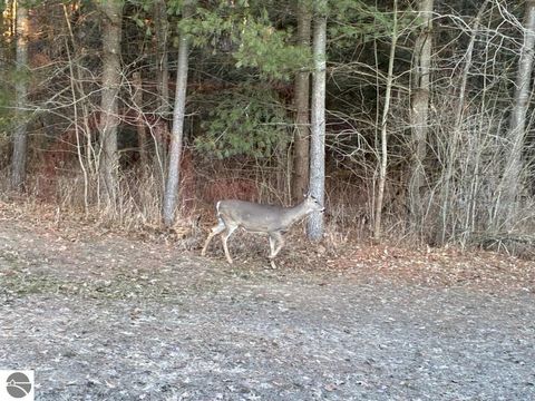 Tiny photo for 2210 Fox Run Road, West Branch, MI 48661 (MLS # 1943751)