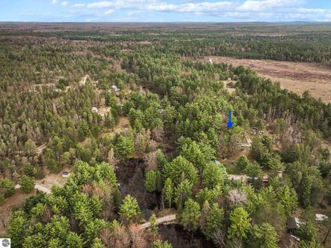 Tiny photo for 9890 SE Angel Road, Fife Lake, MI 49633 (MLS # 1944270)