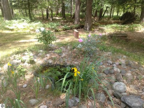 Tiny photo for 9890 SE Angel Road, Fife Lake, MI 49633 (MLS # 1944270)