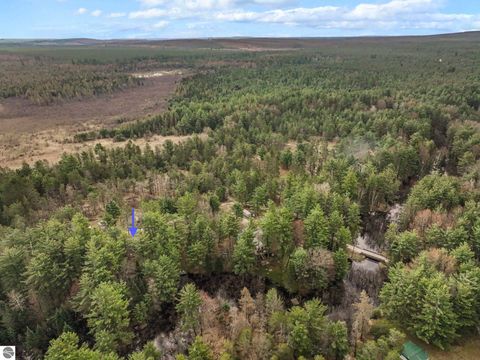 Tiny photo for 9890 SE Angel Road, Fife Lake, MI 49633 (MLS # 1944270)