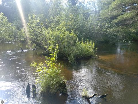 Tiny photo for 9890 SE Angel Road, Fife Lake, MI 49633 (MLS # 1944270)