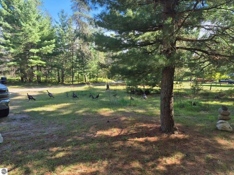 Tiny photo for 9890 SE Angel Road, Fife Lake, MI 49633 (MLS # 1944270)