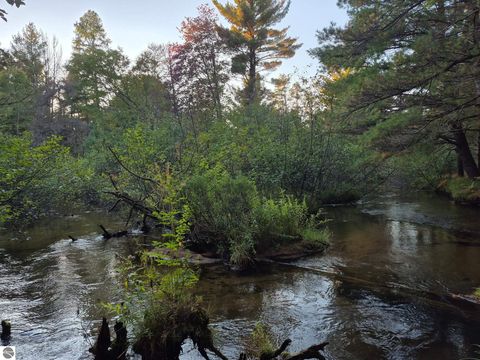 Tiny photo for 9890 SE Angel Road, Fife Lake, MI 49633 (MLS # 1944270)