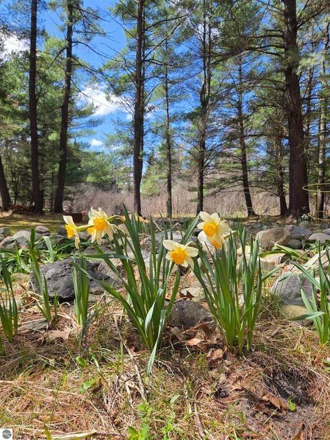 Tiny photo for 9890 SE Angel Road, Fife Lake, MI 49633 (MLS # 1944270)