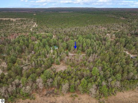 Tiny photo for 9890 SE Angel Road, Fife Lake, MI 49633 (MLS # 1944270)