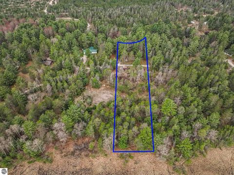 Tiny photo for 9890 SE Angel Road, Fife Lake, MI 49633 (MLS # 1944270)