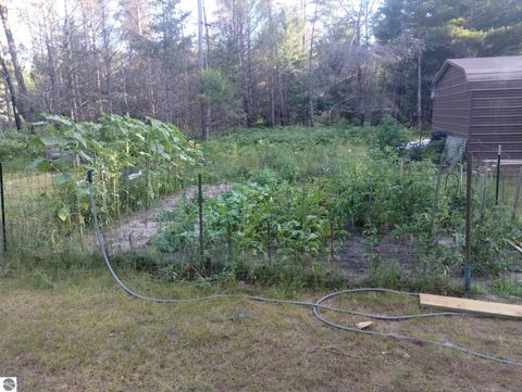 Tiny photo for 9890 SE Angel Road, Fife Lake, MI 49633 (MLS # 1944270)