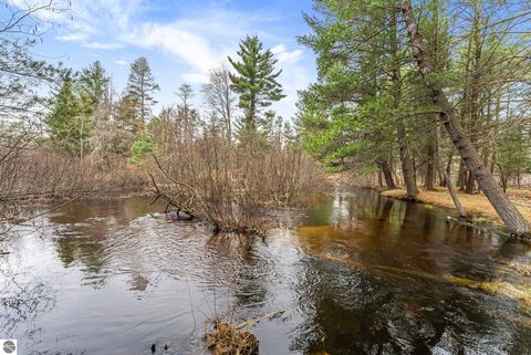 Tiny photo for 9890 SE Angel Road, Fife Lake, MI 49633 (MLS # 1944270)