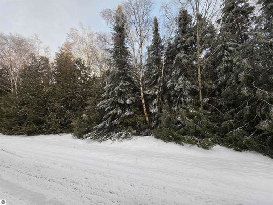 CEDAR BROOK DR, OSCODA, MI 48750 - Image f9f6bba0c297a01bbdc2d1a0d82ef75a/3909549023
