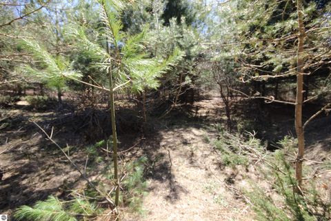 Tiny photo for 00 Maple View Drive, Central Lake, MI 49662 (MLS # 1944696)